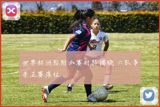 世界杯洲际附加赛对阵揭晓 六队争夺正赛席位