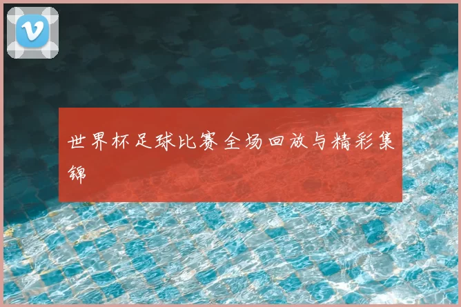 世界杯足球比赛全场回放与精彩集锦