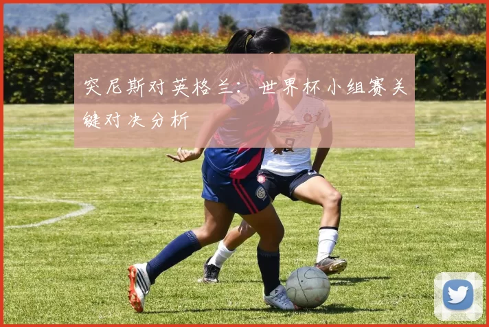 突尼斯对英格兰:世界杯小组赛关键对决分析