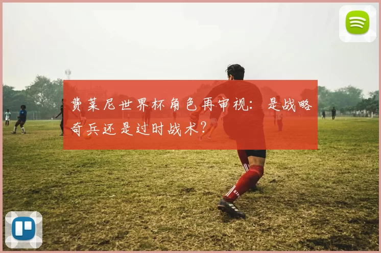 费莱尼世界杯角色再审视：是战略奇兵还是过时战术？
