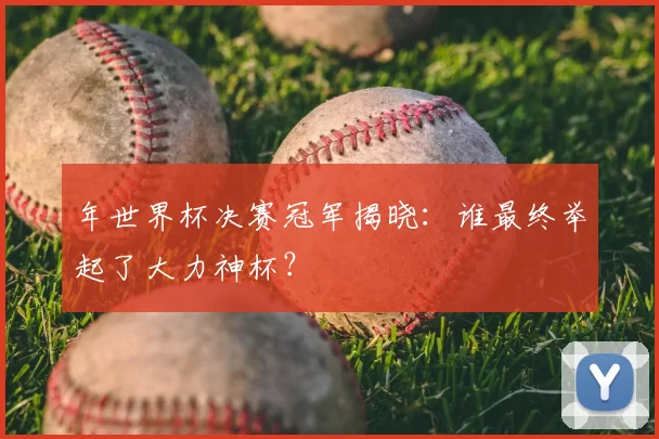 年世界杯决赛冠军揭晓：谁最终举起了大力神杯？