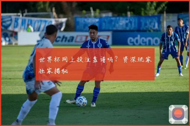 世界杯网上投注靠谱吗？资深玩家独家揭秘