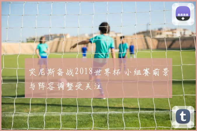 突尼斯备战2018世界杯 小组赛前景与阵容调整受关注