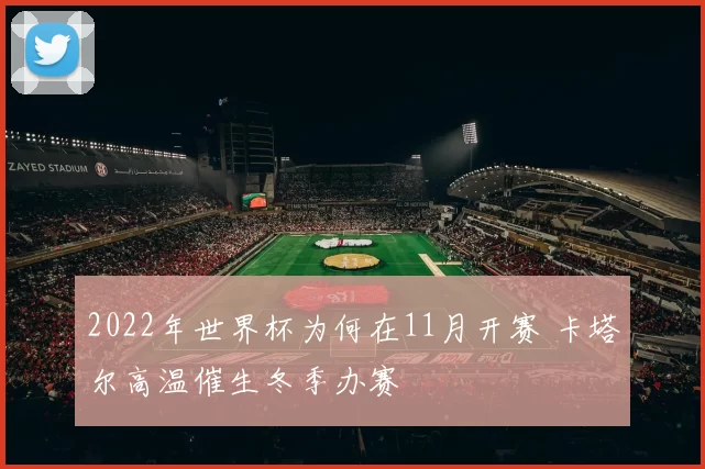 2022年世界杯为何在11月开赛 卡塔尔高温催生冬季办赛