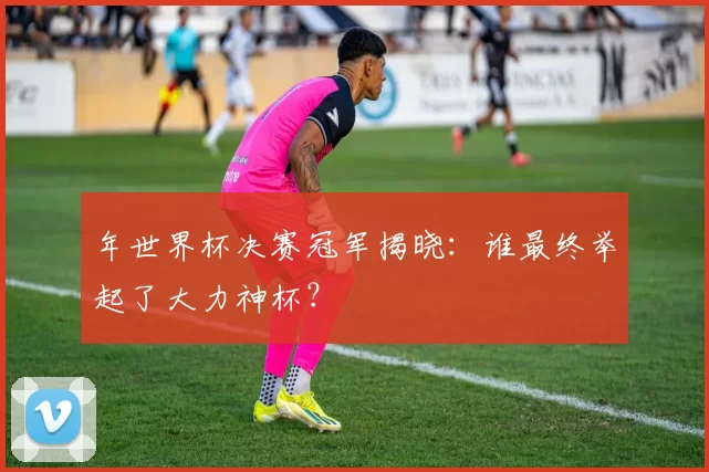 年世界杯决赛冠军揭晓:谁最终举起了大力神杯?