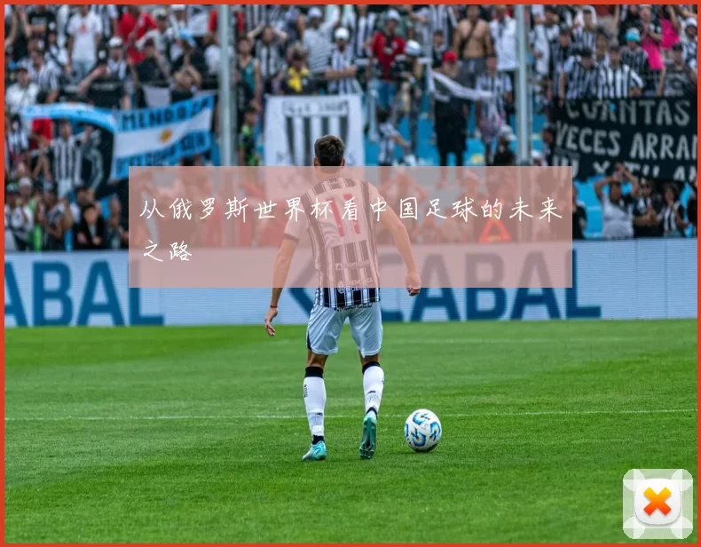 从俄罗斯世界杯看中国足球的未来之路