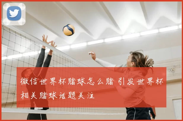 微信世界杯赌球怎么赌 引发世界杯相关赌球话题关注