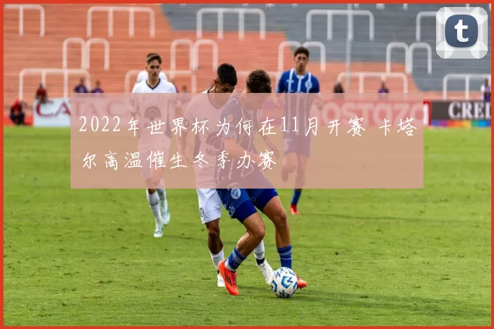 2022年世界杯为何在11月开赛 卡塔尔高温催生冬季办赛